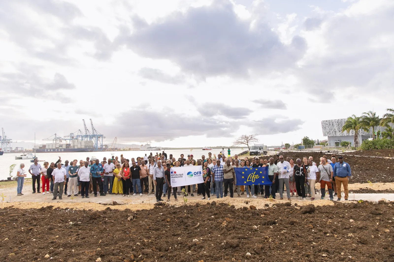 Les participants de la Rencontre des maires sur un site de plantation, à Pointe-à-Pitre