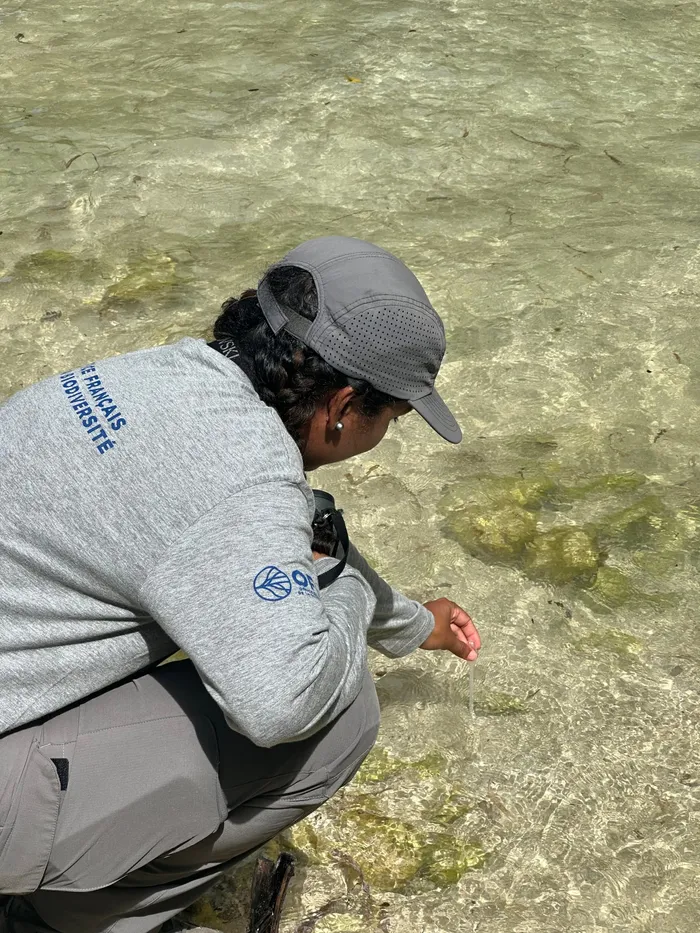 Prélèvement de l'eau pour suivi des mesures de la salinité, 26 février 2026
