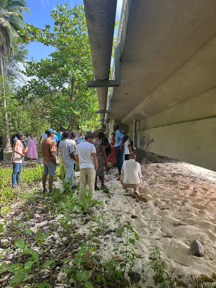Embouchure avant les travaux, le 18 juin 2025, lors du colloque sur les mangroves