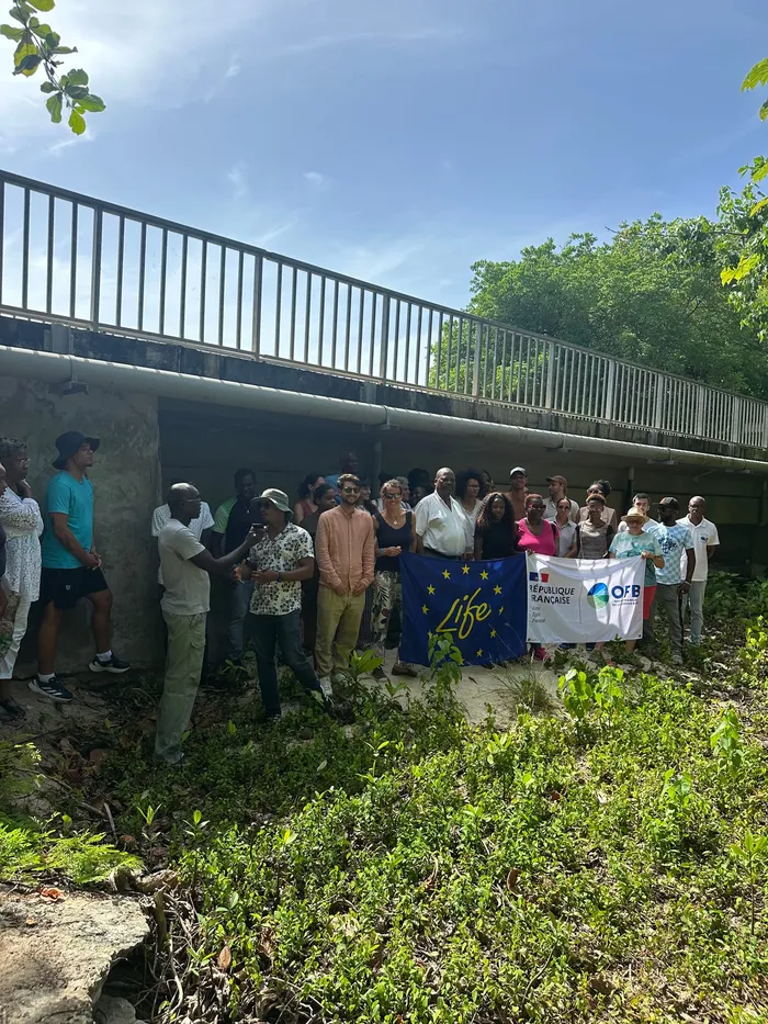 L'embouchure le 18 juin 2025, lors du colloque sur les mangroves organisé à Marie-Galante
