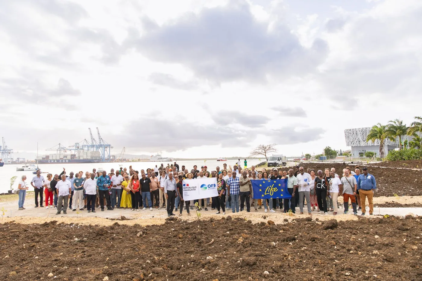 Projet « Lapwent Lokal », la pépinière des Caraïbes · Site de Darboussier (après)