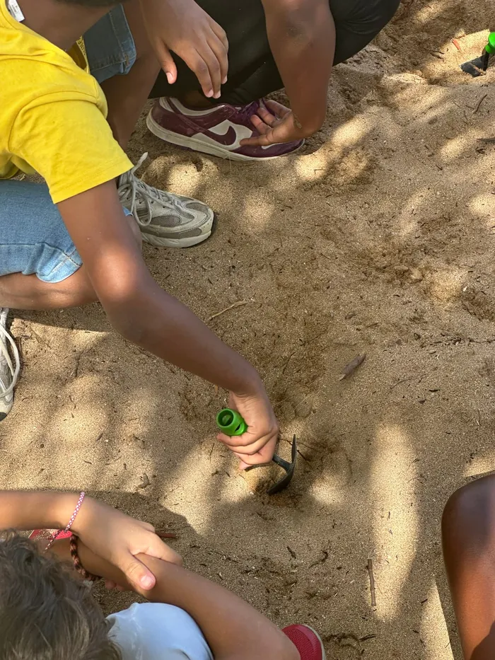 Plantation avec les scolaires · 13 juin 2026