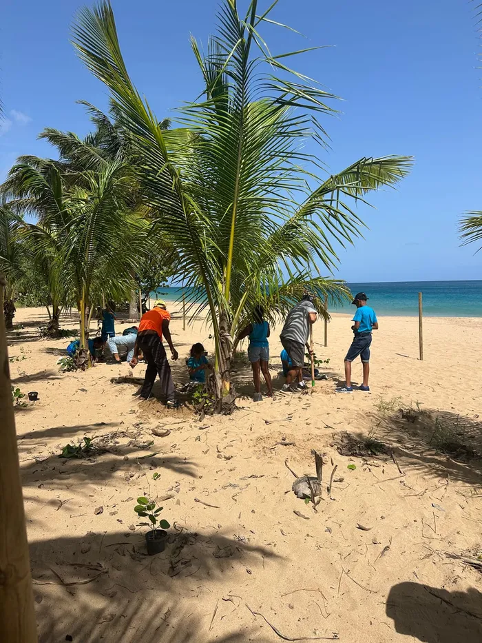 Plantation avec les scolaires · 13 juin 2026
