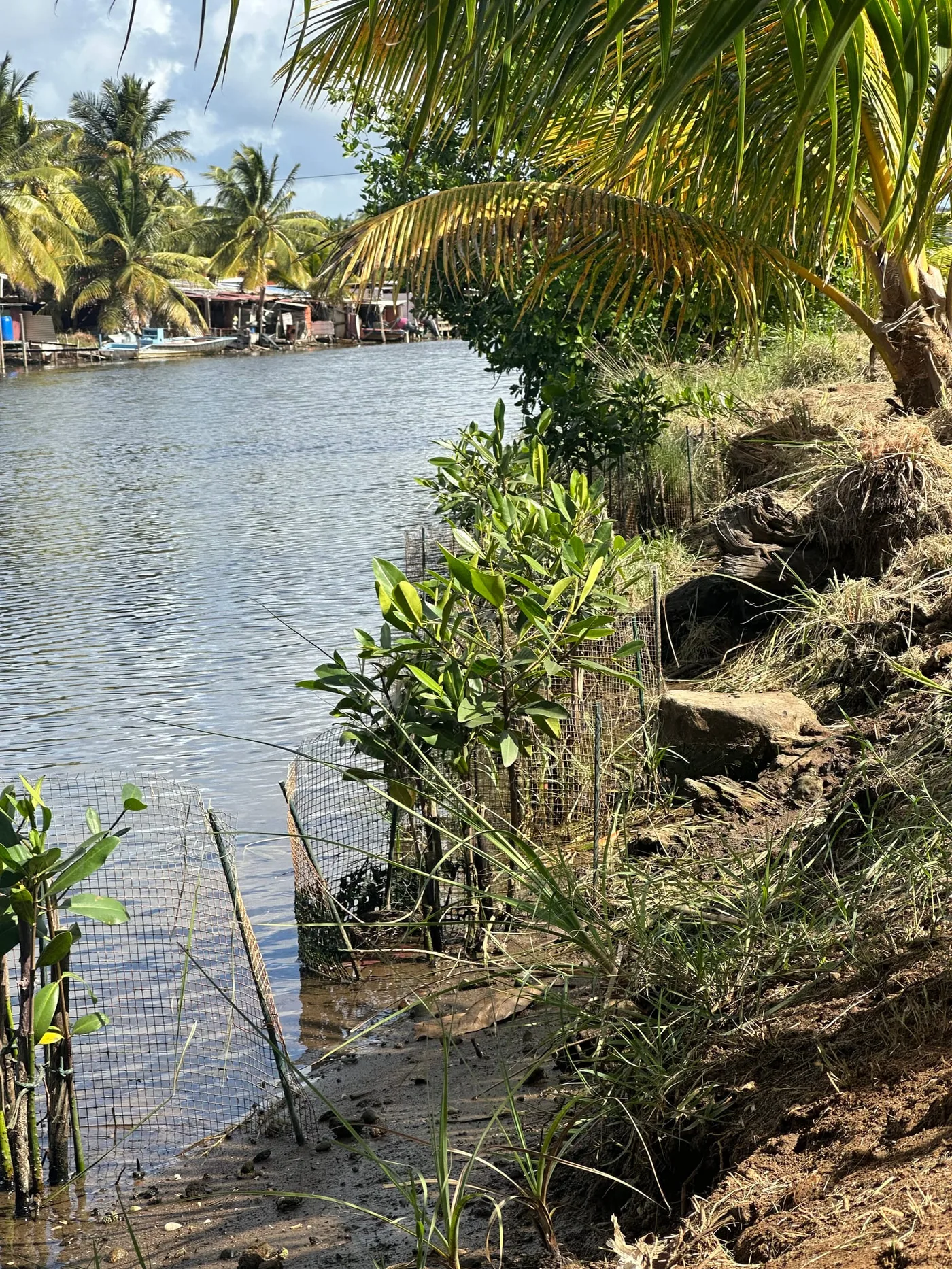 Projet Oasis Urbaines de Biodiversité
