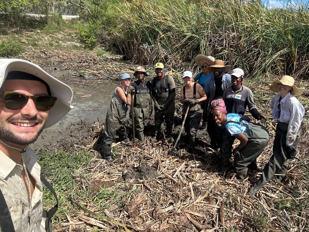 Projet BESTLIFE2030 « Plus belles les mares », opération de gestion de l'espèce exotique envahissante Typha domingensis, Bois-Jolan, Sainte-Anne, Guadeloupe, 17 avril 2025